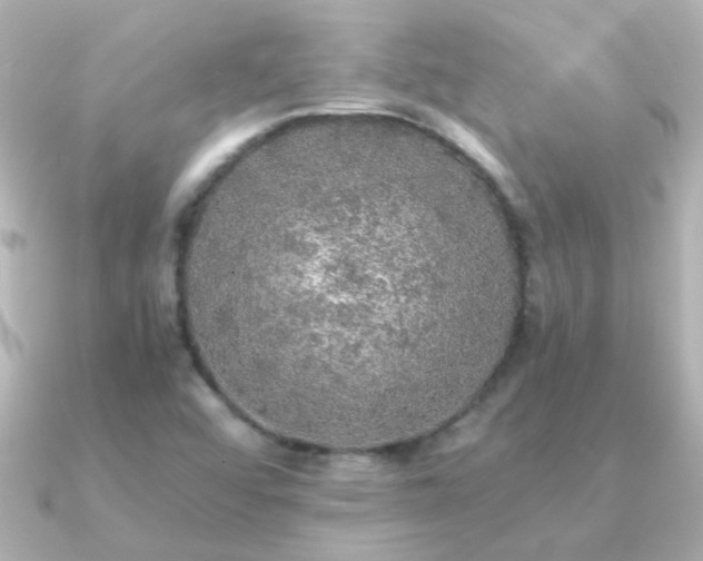 X0000091201456200708091258