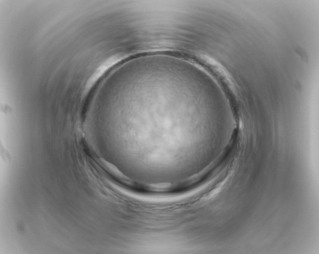 X0000091201457200708091258