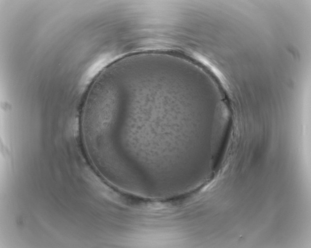 X0000091201459200708091258