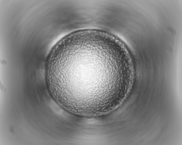 X0000091201460200708091258