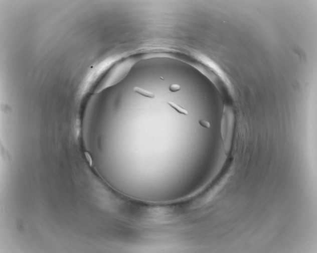 X0000091201461200708091258