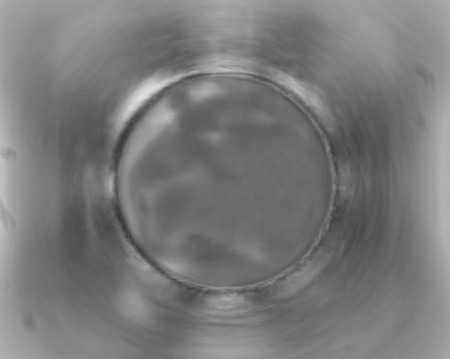 X0000091201462200708091258