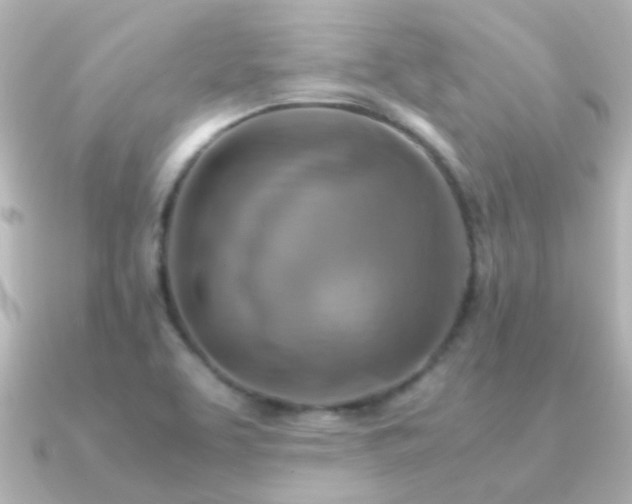 X0000091201463200708091258