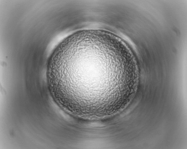 X0000091201464200708091258