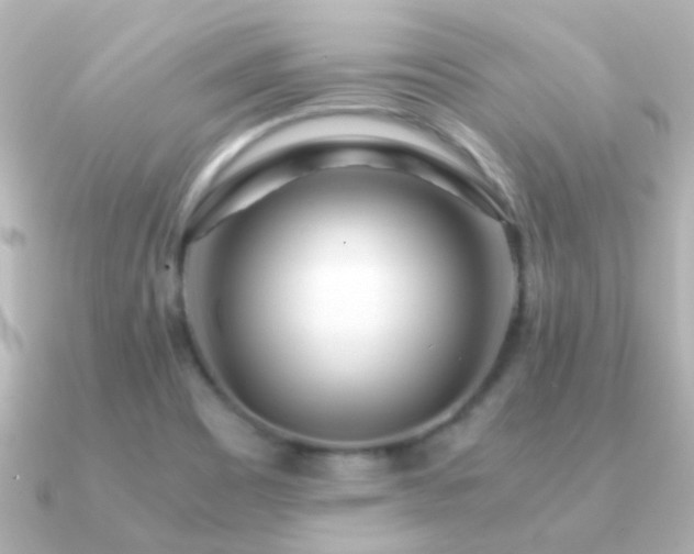 X0000091201465200708091258