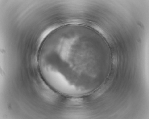 X0000091201466200708091258