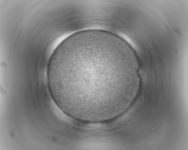X0000091201468200708091258