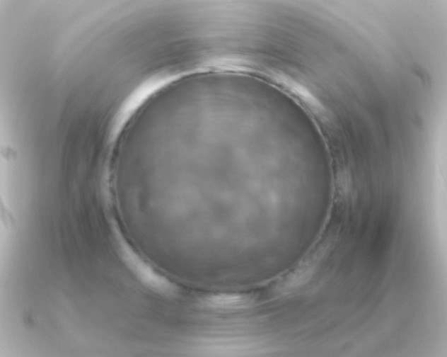 X0000091201470200708091258