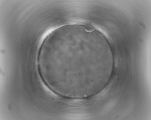 X0000091201471200708091258