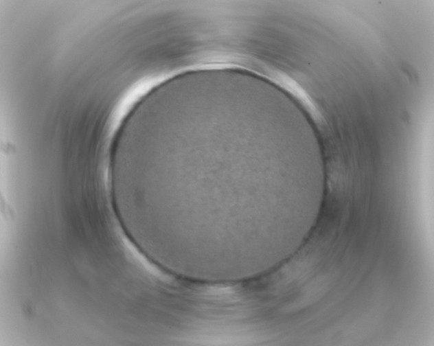 X0000091201472200708091258