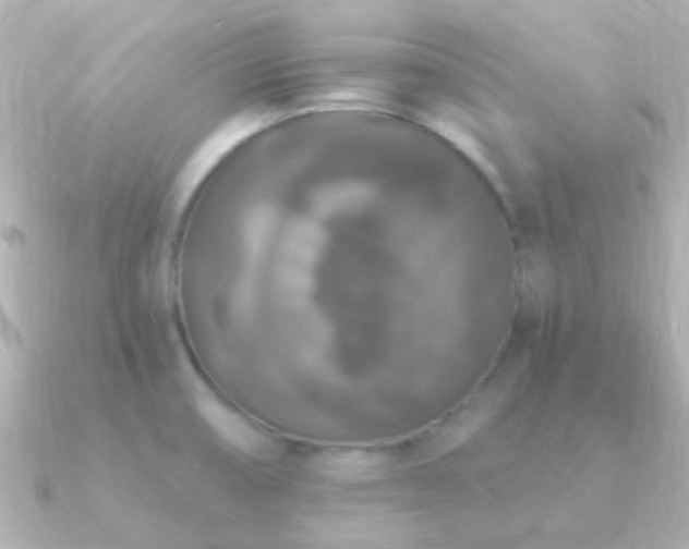 X0000091201474200708091258