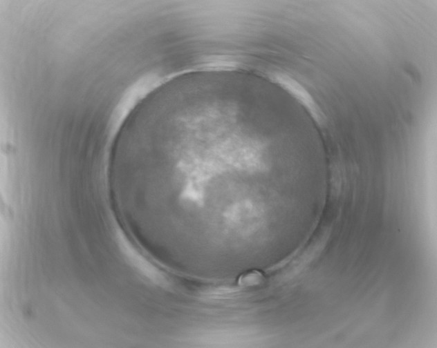 X0000091201475200708091258