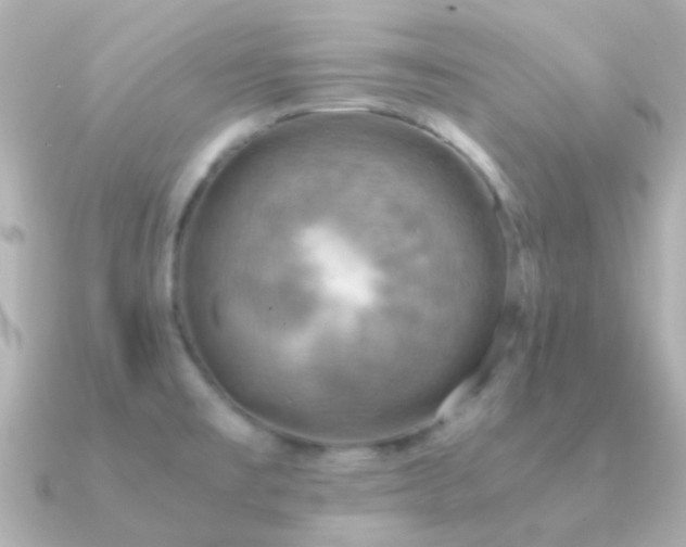 X0000091201477200708091258