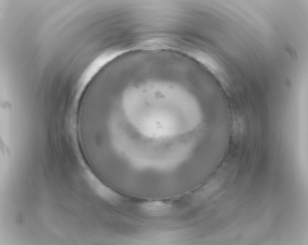 X0000091201478200708091258