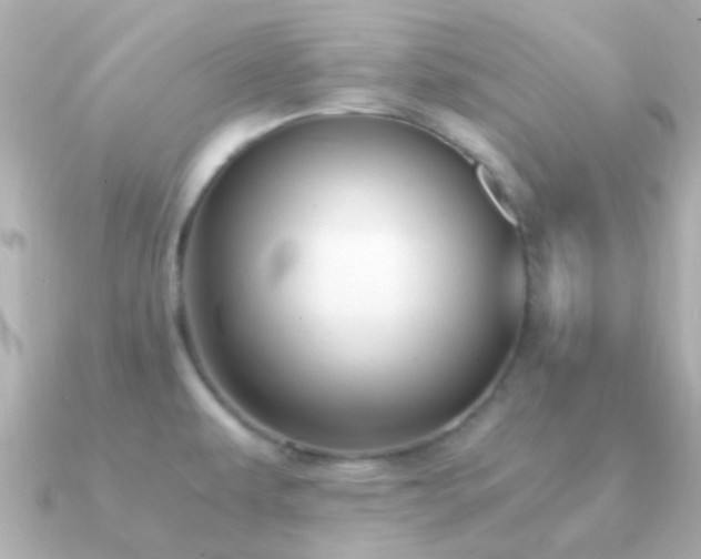 X0000091201479200708091258