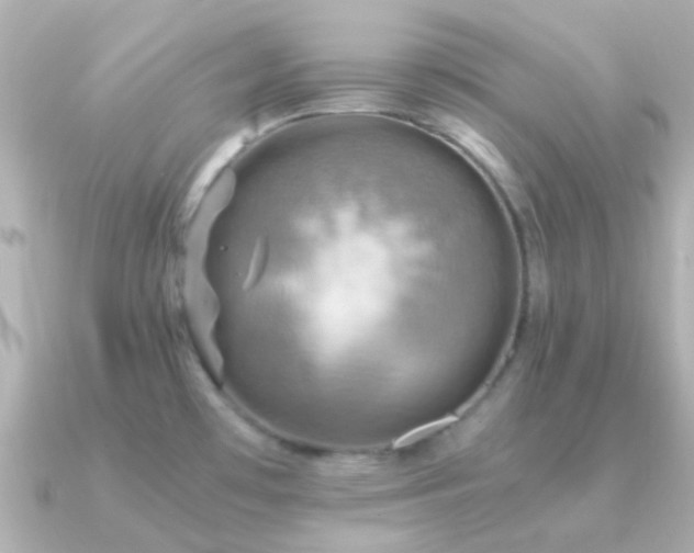 X0000091201481200708091258