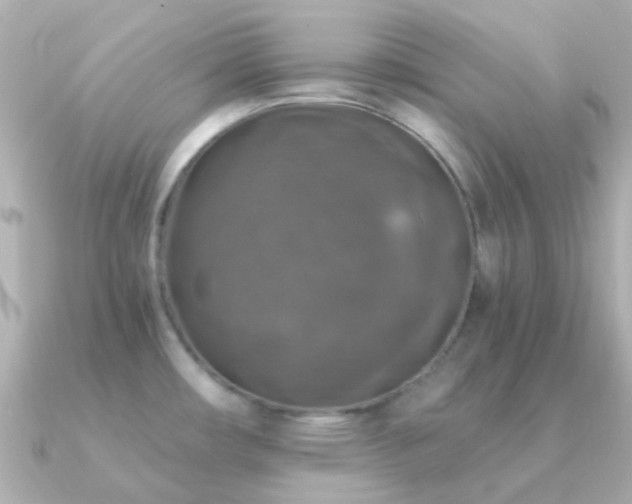 X0000091201482200708091258