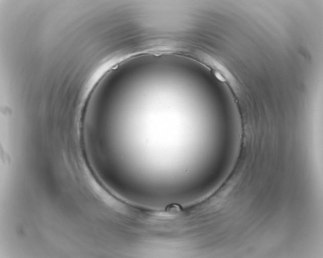 X0000091201483200708091258