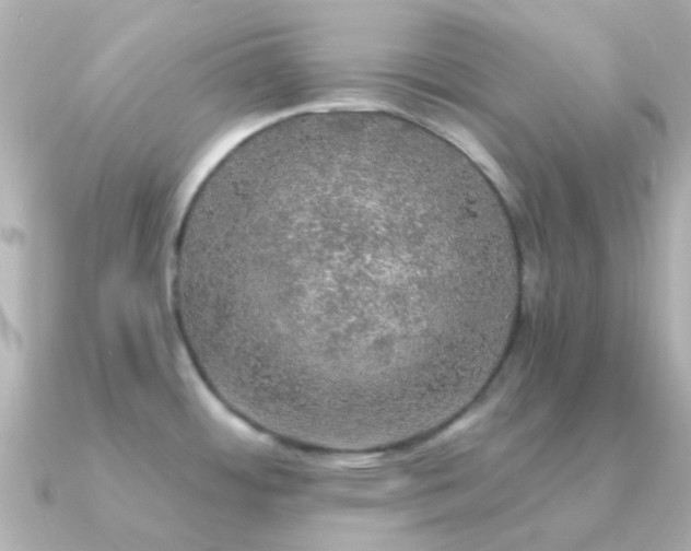 X0000091201484200708091258
