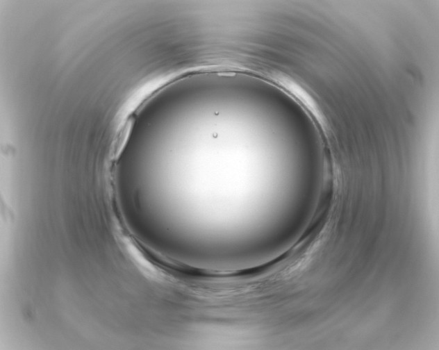 X0000091201485200708091258