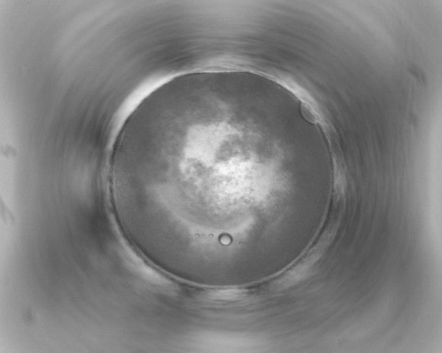 X0000091201486200708091258