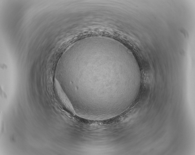 X0000091201489200708091257
