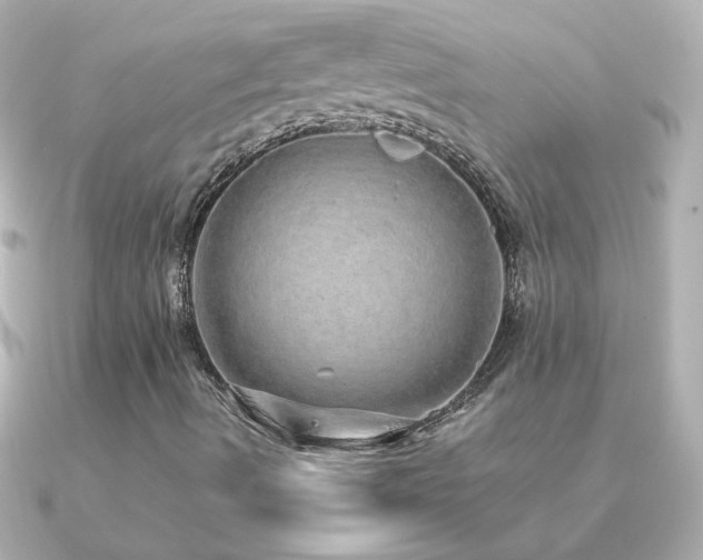 X0000091201490200708091257