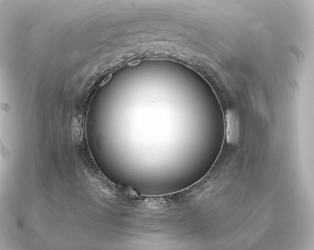 X0000091201491200708091257
