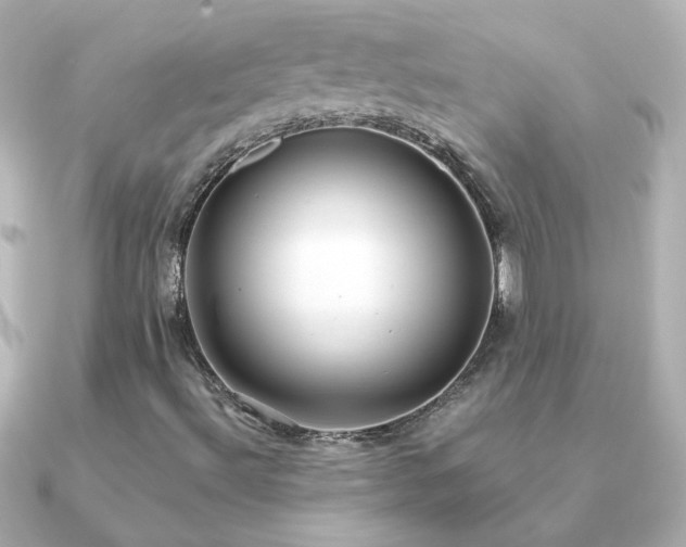 X0000091201492200708091257