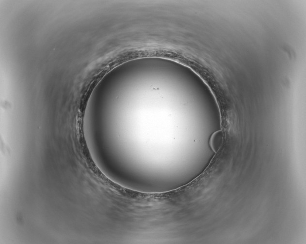 X0000091201493200708091257