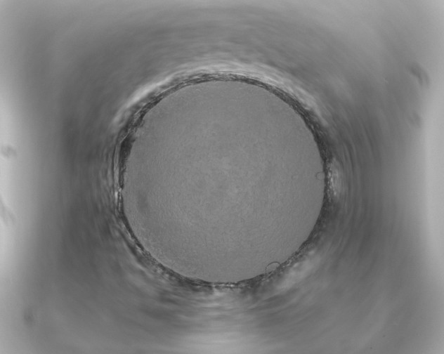 X0000091201494200708091258