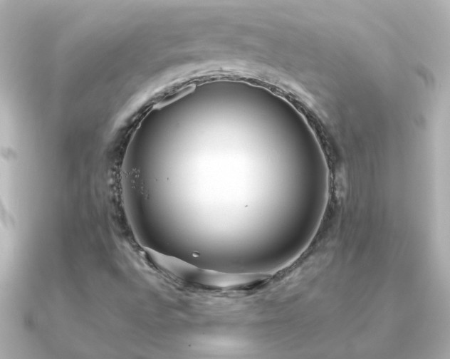 X0000091201496200708091258