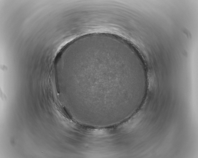X0000091201497200708091258