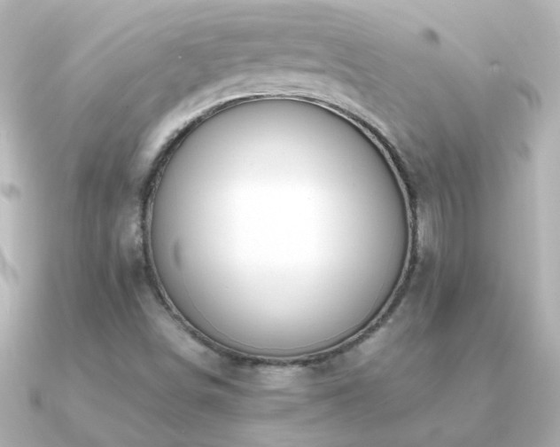X0000091201498200708091258