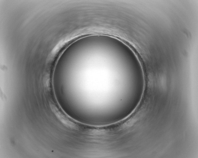 X0000091201499200708091258