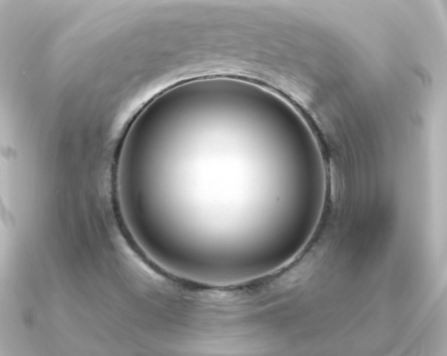 X0000091201500200708091258