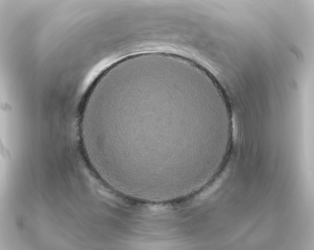 X0000091201501200708091258