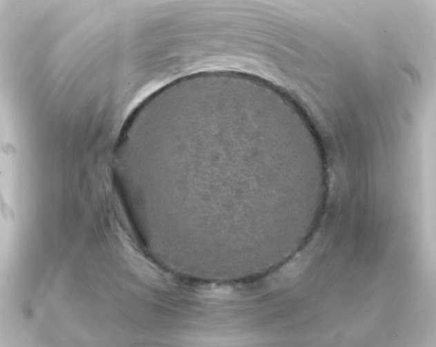 X0000091201505200708091258