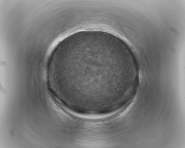 X0000091201506200708091258