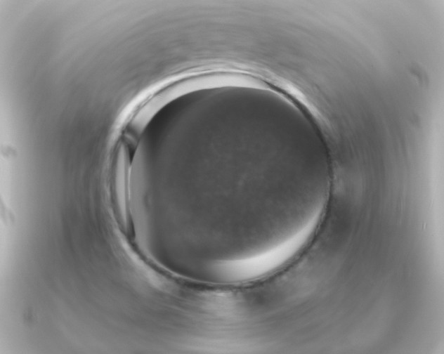 X0000091201508200708091258