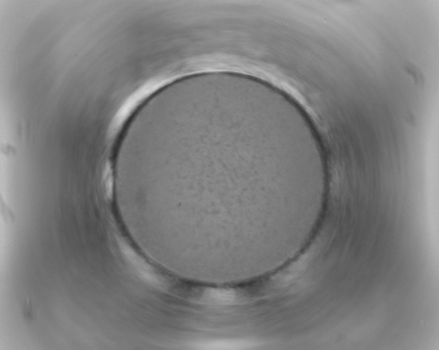 X0000091201509200708091258