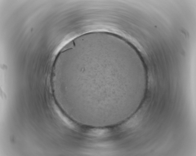 X0000091201513200708091258