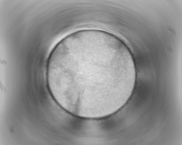 X0000091201514200708091258