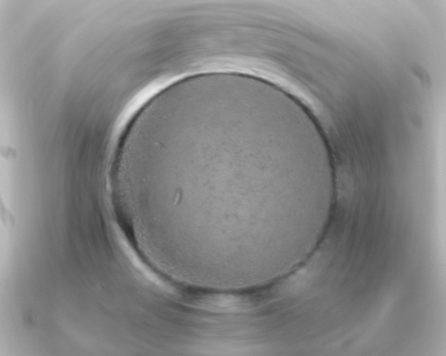 X0000091201517200708091258