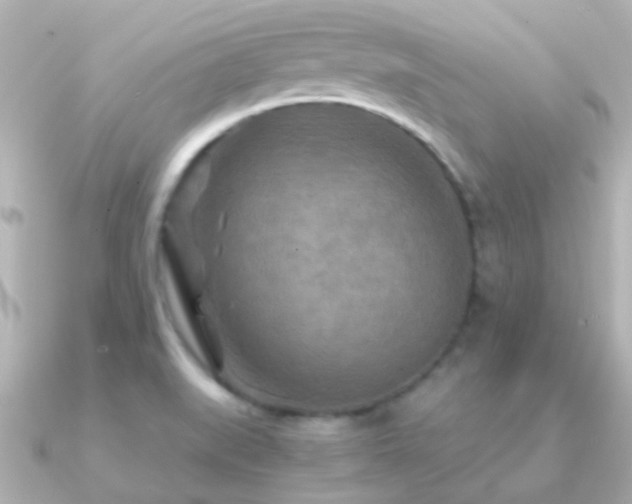 X0000091201519200708091258
