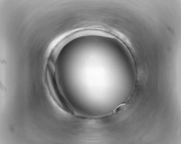 X0000091201520200708091258