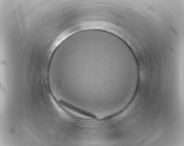 X0000091201521200708091258