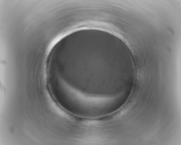 X0000091201522200708091258