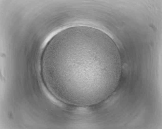 X0000091201523200708091258