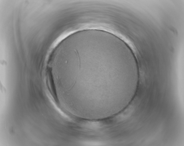 X0000091201525200708091258